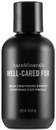 Bare Minerals Well Cared For Brush Conditioning Shampoo 4 oz