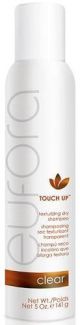 Eufora Touch Up Texturizing Dry Shampoo