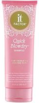 It Factor Quick Blowdry Shampoo for Medium to Coarse Hair 8.5 oz