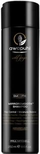 Paul Mitchell Awapuhi Wild Ginger MirrorSmooth Shampoo