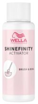 Wella Shinefinity Color Glaze Activator 2% Brush & Bowl Usage